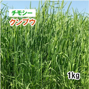 y p `V[ z NvE iɑj 1kg q q ̑ ͔|p Ή q JlRc