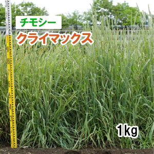 y p `V[ z NC}bNX ij 1kg q q ̑ ͔|p Ή q JlRc