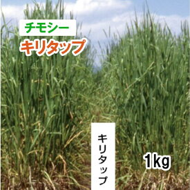 【 飼料用 チモシー 】 キリタップ （中生） 1kg 牧草 放牧 採草 栽培用 緑化 種子 カネコ種苗
