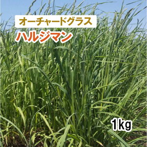 y p I[`[hOX z nW} iӐj PVP 1kg q q ̑ ͔|p Ή q JlRc