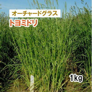 y p I[`[hOX z g~h iɔӐj 1kg q q ̑ ͔|p Ή q JlRc