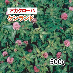 y p AJN[o z Ph 500g q ̑p ͔|p Ή q JlRc