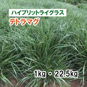 25Hiy  nCubgCOX z eg}O 1kg 22.5kg q q ͔|p p Ή Δ q c