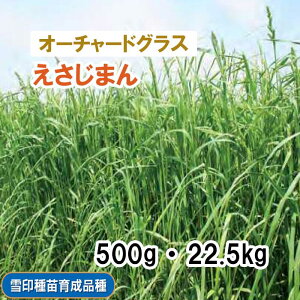 25Hiy p I[`[hOX z ܂ iӐjPVP 500g 22.5kg q q ̑ ͔|p Ή Δ q c