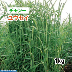 y p `V[ z EZC iɑjPVP 1kg q q ̑ ͔|p Ή Δ q c