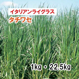 y p C^ACOX z ^`Z ij1kg 22.5kg q q ̑ ͔|p Ή Δ q c