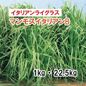 【 飼料用 イタリアンライグラス 】 マンモスイタリアンB 「 ビリケン 」 （中晩生）1kg 22.5kg 牧草 放牧 採草 栽培用 緑化 緑肥 種子 雪印種苗
