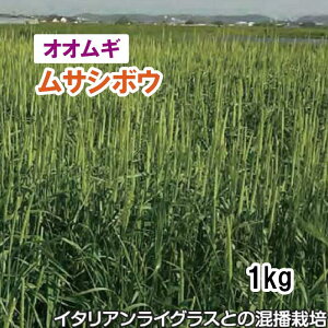 y p IIM z TV{Eij1kg q q ̑ ͔|p Ή Δ q c