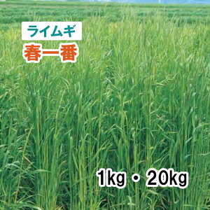y p CM z tԁiɑj1kg 20kg q q ̑ ͔|p Ή Δ q24 c