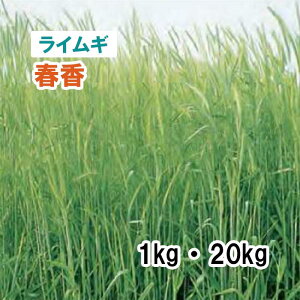 y p CM ztiӐj1kg 20kg q q ̑ ͔|p Ή Δ q c