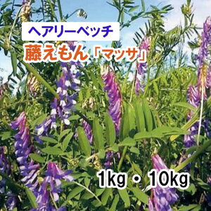 25Hiy p wA[xb` z  u }bT vij 1kg 10kg q q ̑ ͔|p Ή Δ q c
