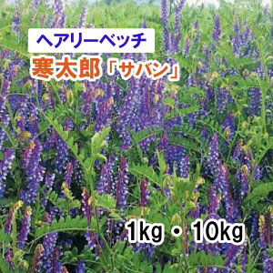 y p wA[xb` z Y u To viӐj 1kg 10kg q q ̑ ͔|p Ή Δ q c