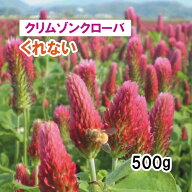 【 飼料用 クリムゾンクローバ 】くれない 500g 牧草 放牧 採草 栽培用 緑化 緑肥 ミツバチ 蜜源 種子 雪…