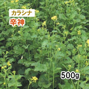 y p JVi z h_ 500g q q ̑ ͔|p Ή Δ q c