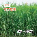 【 飼料用 アワ 】 なつ乾草（晩生）1kg 20kg 牧草 放牧 栽培用 緑化 緑肥 種子 雪印種苗