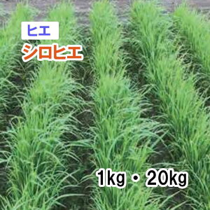 y p qG z VqGij1kg 20kg q q ͔|p Ή Δ q c