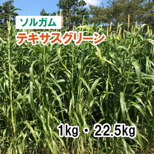 y p \K z eLTXO[ 1kg 22.5kg q q ͔|p Ή Δ q c