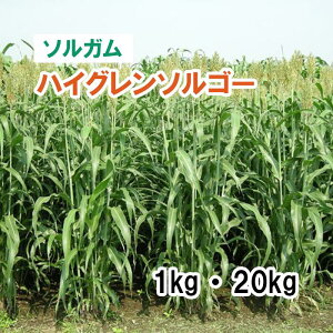 y p \K z nCO\S[ij1kg 20kg q q ͔|p Ή Δ q c