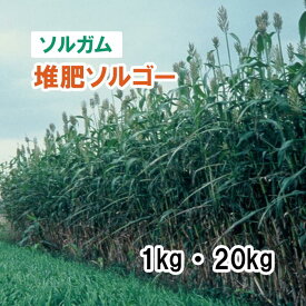 【 飼料用 ソルガム 】 堆肥ソルゴー / FS1605 1kg 20kg 牧草 放牧 栽培用 緑化 緑肥 種子 雪印種苗