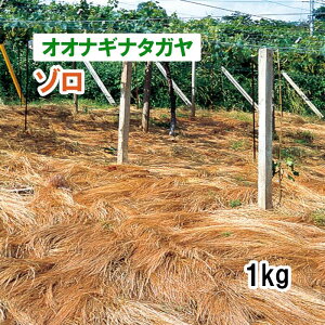 y p IIiMi^K z ] 1kg q q ͔|p Ή Δ q c
