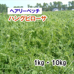 y p wA[xb` z ᎟Y u nOr[T v iӐj1kg 10kg q q ͔|p Ή Δ q c