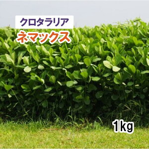 y p N^A z l}bNX 1kg q q ͔|p Ή Δ q l}LO֕i c