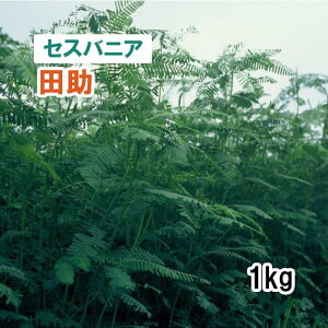 y Δp ZXojA z c 1kg q q ͔|p Ή Δ q ەʔ c