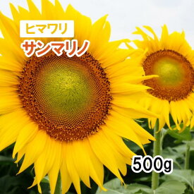 26年4月中旬入荷予定【 飼料用 ヒマワリ 】 サンマリノ / NSデュカット 500g 牧草 放牧 栽培用 緑化 緑肥 種子 雪印種苗