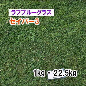 y Őp Ήp tu[OX z ZCo[3 1kg 22.5kg q qp ͔|p Δ q c