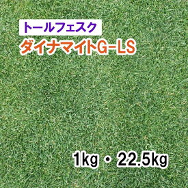 【 芝生用 緑化用 トールフェスク 】 ダイナマイトG-LS 1kg 22.5kg 牧草 放牧用 栽培用 緑肥 種子 雪印種苗