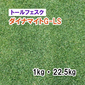 y Őp Ήp g[tFXN z _Ci}CgG-LS 1kg 22.5kg q qp ͔|p Δ q c