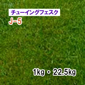 y Őp Ήp `[COtFXN z J-5 1kg 22.5kg q qp ͔|p Δ q c