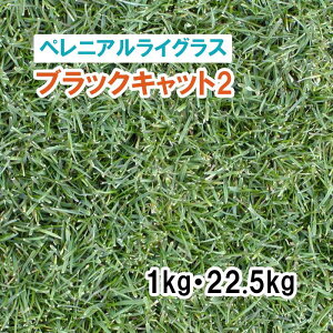 y Őp Ήp yjACOX zubNLbg2 1kg 22.5kg q qp ͔|p Δ q c