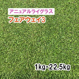y Őp Ήp AjACOX ztFAEFCR3 / NCbNh[ 1kg 22.5kg q qp ͔|p Δ q c