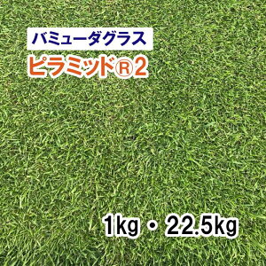 y Őp Ήp o~[_OX zs~bhR2 1kg 22.5kg q qp ͔|p Δ q rGpi c
