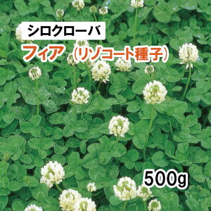]R[gqy Δp VN[o z tBA 500g q q ̑ ͔|p p Ή q ^LCc