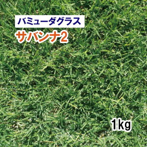 y Δp o~[_OX z Toi2 1kg q q ̑ ͔|p p St Z Ή q ^LCc