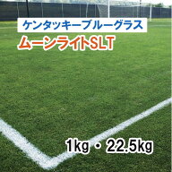 【 緑肥用 ケンタッキーブルーグラス 】 ムーンライトSLT 1kg 22.5kg 牧草 放牧 採草 栽培用 飼料用 ゴル…