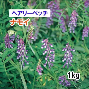 y Δp wA[xb` z iC () 1kg q q ̑ ͔|p p Ή q ^LCc