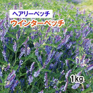 y Δp wA[xb` z EC^[xb` (Ӑ) 1kg q q ̑ ͔|p p Ή q ^LCc