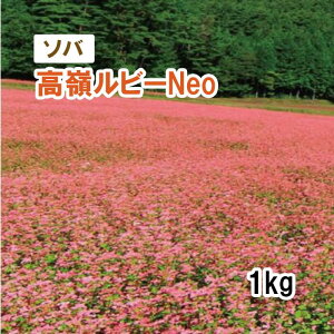y Δp \o z 䃋r[Neo 1kg q q ̑ ͔|p p Ή q ^LCc