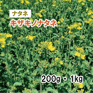 y Δp i^l z LULmi^l 200g 1kg q q ̑ ͔|p p Ή q ^LCc