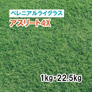 y Őp yjACOX z AX[g4X 1kg 22.5kg q q ̑ ͔|p p St Z Ή q ^LCc