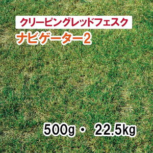 y Őp N[sObhtFXN z irQ[^[2 500g 22.5kg q q ̑ ͔|p p St Z Ή q ^LCc