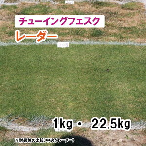 y Őp `[COtFXN z [_[ 1kg 22.5kg q q ̑ ͔|p p St Z Ή q ^LCc