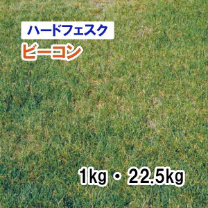 y Őp n[htFXN z r[R 1kg 22.5kg q q ̑ ͔|p p St Z Ή q ^LCc