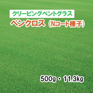 NR[gqy Őp N[sOxgOX z yNX 500g 11.3kg q q ̑ ͔|p p St Z Ή q ^LCc