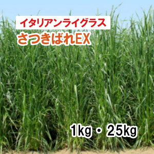 y p C^ACOX z ΂EX iEp^j PVP 1kg 22.5kg q q ̑ Ή ͔|p q JlRc