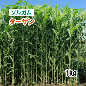 y p \K z ^[U iӐj1kg q q ̑ ͔|p Ή q JlRc