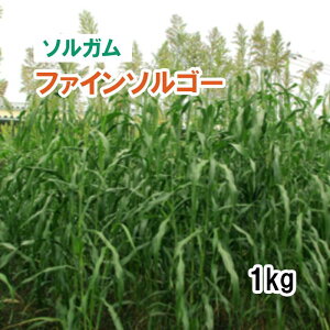 y p \K z t@C\S[ ij1kg q q ̑ ͔|p Ή q JlRc